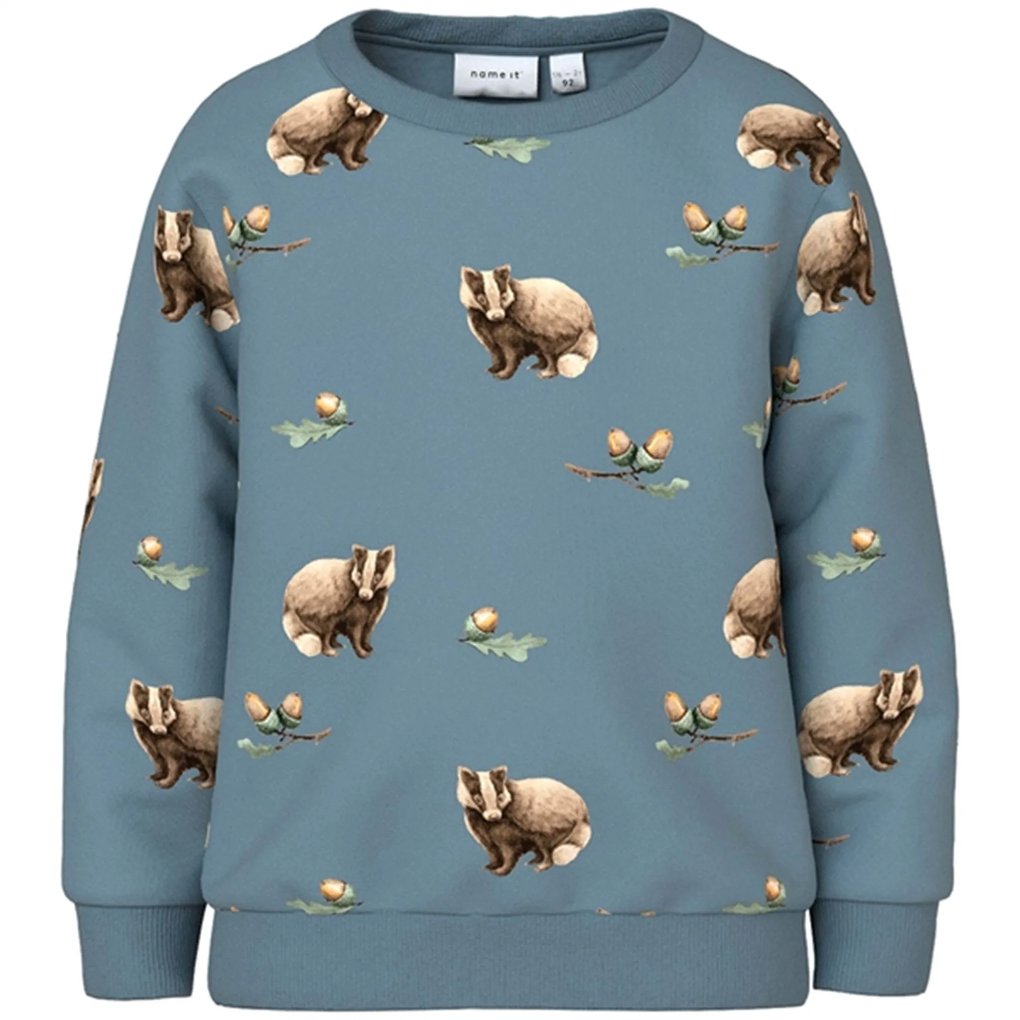 Name it Citadel Linnus Sweatshirt